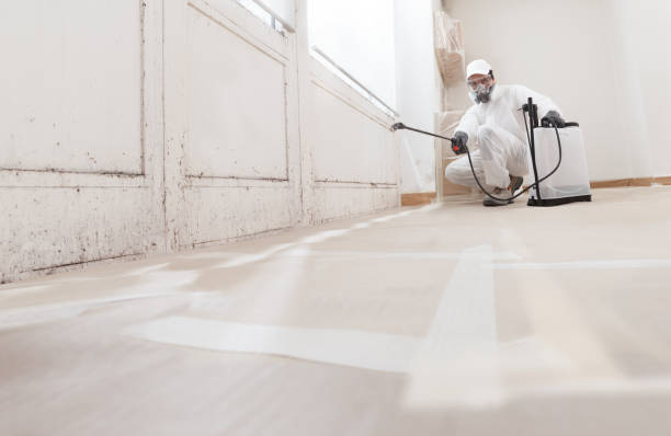 24/7 Emergency Commercial Mold Remediation experts in Kent City, MI