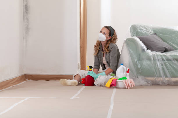 Reliable Mold Cleanup contractor in Kent City, MI by Cheap Mold Removal
